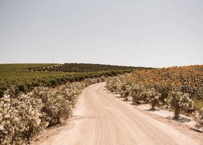 La Carrena جيريز