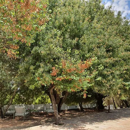 La Carrena Jerez de la Frontera