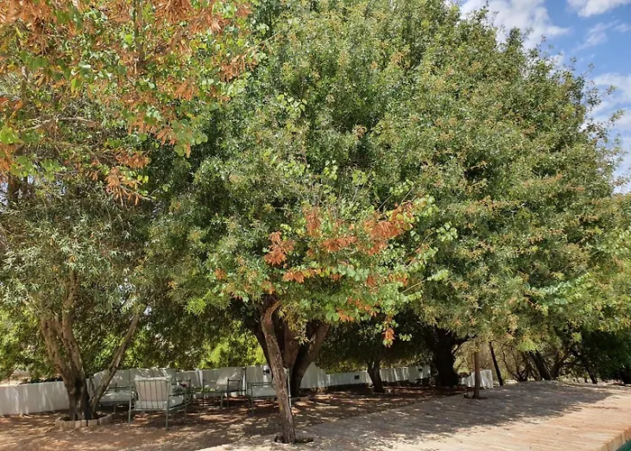 La Carrena Jerez de la Frontera