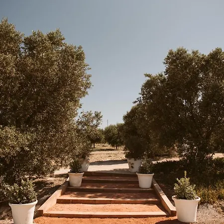 La Carrena Hotel Jerez de la Frontera