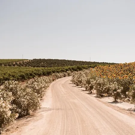 La Carrena Jerez de la Frontera